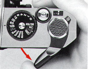 p06.jpg (32984 bytes)