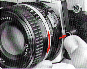 p10.jpg (35356 bytes)