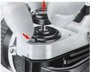 p11.jpg (30707 bytes)