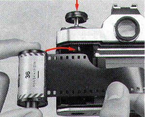 p12.jpg (30592 bytes)