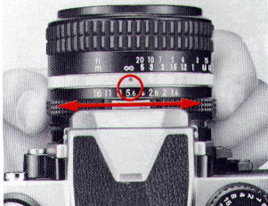 p23.jpg (27810 bytes)