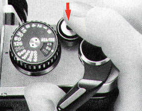 p28.jpg (29078 bytes)