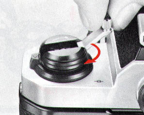 p31.jpg (26631 bytes)