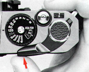 p33.jpg (31202 bytes)