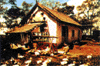 slide011.gif (7520 bytes)