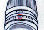 slide027.gif (14001 bytes)