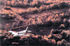 slide040.gif (7670 bytes)