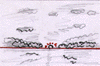 slide044.gif (4780 bytes)