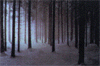 slide050.gif (6941 bytes)