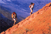 slide056.gif (6758 bytes)