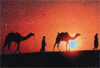 slide084.gif (5917 bytes)