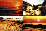 slide105.gif (14008 bytes)