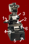 dupex.gif (7903 bytes)