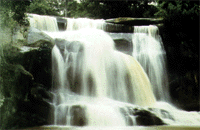 wfall.gif (22234 bytes)
