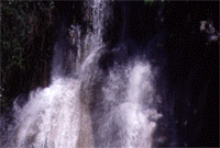 wtest1.gif (22588 bytes)