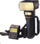 flaport.gif (4098 bytes)