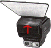 flaref.gif (5981 bytes)