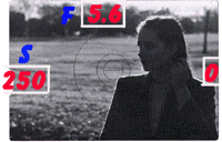 under.gif (18279 bytes)