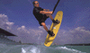 action.gif (5155 bytes)